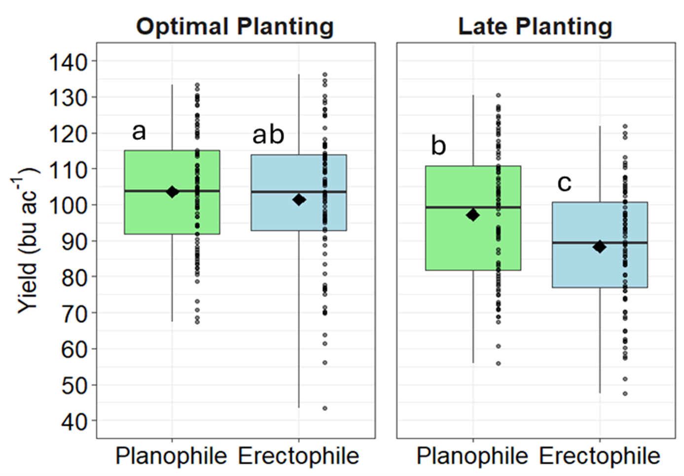 Boxplots showing winter wheat grain yield (bushels per acre) for Planophile and Erectophile canopy types under optimal and late planting. Under optimal planting, Planophile yields are slightly higher (~105 bu/ac) than Erectophile (~102 bu/ac). Under late planting, yields decrease for both, with Planophile (~98 bu/ac) performing better than Erectophile (~90 bu/ac). Letters (a, ab, b, c) indicate statistical differences.